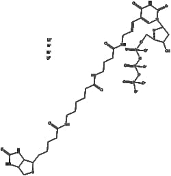 Apexbio Technology LLC&nbsp;Biotin-16-dUTP(Synonyms: Biotin-16-2'-deoxyuridine-5'-triphosphate, Biotin-16-dUTP nucleotide), 200ul (5 mM).