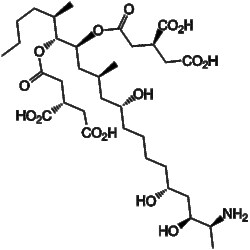 Apexbio Technology LLC Fumonisin B1(Synonyms: FB1, Fumonisin-B1, Fusarium