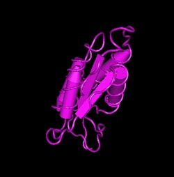 Apexbio Technology LLC&nbsp;GM-CSF, human recombinant(Synonyms: Granulocyte-Macrophage Colony-Stimulating Factor, GM-CSF, Recombinant Human GM-CSF, rhGM-CSF), 100ug.