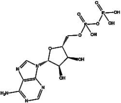Apexbio Technology LLC&nbsp;Adenosine-5'-diphosphate(Synonyms: ADP, Adenosine diphosphate, 5'-ADP, Adenosine 5'-pyrophosphate), 250mg, CAS: 58-64-0.