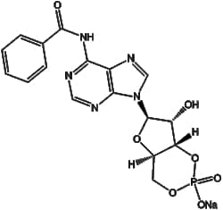 Apexbio Technology LLC 6-Bnz-cAMP sodium salt(Synonyms: N6-Benzoyl-cAMP