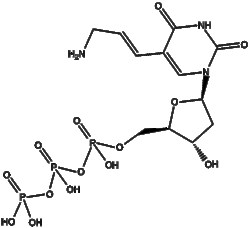 Apexbio Technology LLC&nbsp;Aminoallyl-dUTP(Synonyms: 5-(3-Aminoallyl)-2'-deoxyuridine-5'-triphosphate, AA-dUTP, Aminoallyl-2'-deoxyuridine triphosphate), 100ul (10mM), CAS: 116840-18-7.