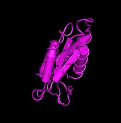 Apexbio Technology LLC&nbsp;GM-CSF, murine recombinant(Synonyms: Granulocyte-Macrophage Colony-Stimulating Factor murine recombinant), 100ug.