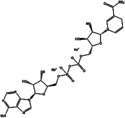 Apexbio Technology LLC&nbsp;NADH (sodium salt)(Synonyms: Reduced β-Nicotinamide adenine dinucleotide disodium salt, NADH disodium salt), 1g, CAS: 606-68-8.