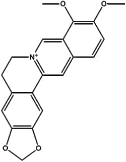 Apexbio Technology LLC Berberine(Synonyms: Berberine Hydrochloride, Umbellatine,