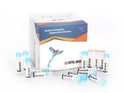 Apexbio Technology LLC HyperScribe All in One mRNA Synthesis Kit (ARCA,