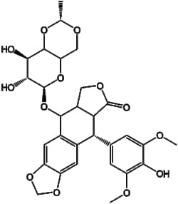 Apexbio Technology LLC Etoposide 33419-42-0 10mM (in 1mL DMSO)