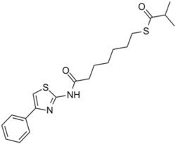 Apexbio Technology LLC&nbsp;NCH 51 848354-66-5 50mg
