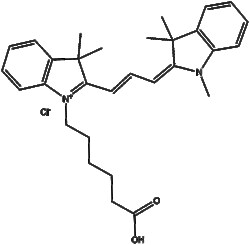 Apexbio Technology LLC&nbsp;Cy3 carboxylic acid (non-sulfonated) 25mg