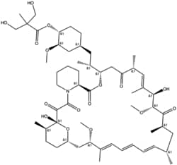 Apexbio Technology LLC Temsirolimus 162635-04-3 10mM (in 1mL DMSO)
