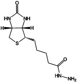 Apexbio Technology LLC&nbsp;Biotin Hydrazide 66640-86-6 500mg