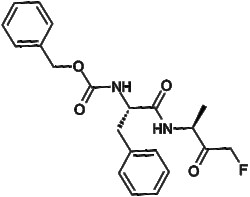 Apexbio Technology LLC Z-FA-FMK 105637-38-5;197855-65-5 10mM (in 1mL DMSO)