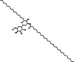 Apexbio Technology LLC α-Galactosylceramide 158021-47-7 1mg, Quantity: