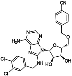 Apexbio Technology LLC&nbsp;VER 155008 1134156-31-2 10mM (in 1mL DMSO)