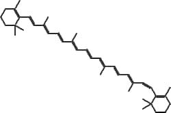 Apexbio Technology LLC Betacarotene 7235-40-7 10mM (in 1mL Ethanol)