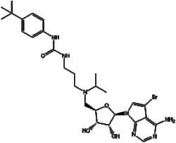 Apexbio Technology LLC SGC 0946 1561178-17-3 5mg, Quantity: Pack of 1