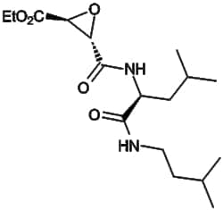 Apexbio Technology LLC E 64d 88321-09-9 10mM (in 1mL DMSO)