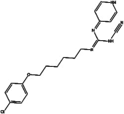 Apexbio Technology LLC&nbsp;GMX1778 (CHS828) 200484-11-3 10mM (in 1mL DMSO)