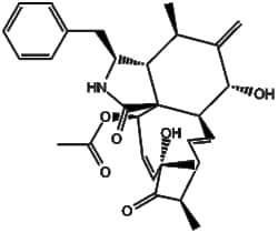 Apexbio Technology LLC&nbsp;Cytochalasin D 22144-77-0 1mg