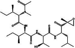 Apexbio Technology LLC&nbsp;Epoxomicin 134381-21-8 10mM (in 1mL DMSO)