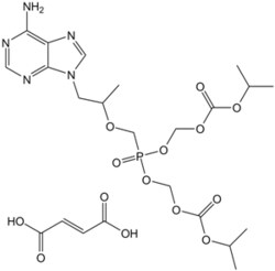 Apexbio Technology LLC Tenofovir Disoproxil Fumarate 202138-50-9 10mM (in 1mL DMSO)