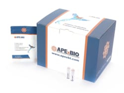 Apexbio Technology LLC 25 mM dNTP Mixture 5x1ml