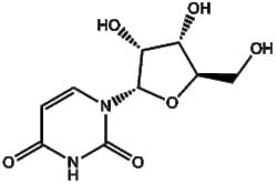 Apexbio Technology LLC Uridine 58-96-8 10mM (in 1mL DMSO)
