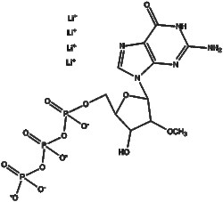 Apexbio Technology LLC&nbsp;2'-O-Methyl-GTP 50ul (100 mM)
