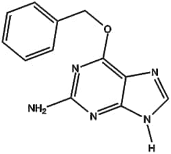 Apexbio Technology LLC&nbsp;O6-Benzylguanine 19916-73-5 250mg