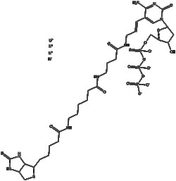Apexbio Technology LLC Biotin-16-dCTP 200ul (5 mM)