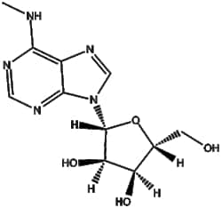 Apexbio Technology LLC&nbsp;N6-methyladenosine (m6A) 1867-73-8 10mM (in 1mL DMSO)