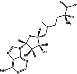 Apexbio Technology LLC Ademetionine 29908-03-0 500mg, Quantity: Pack of