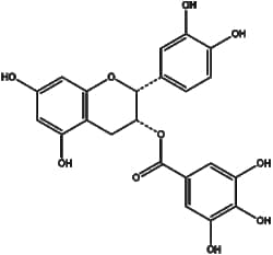 Apexbio Technology LLC&nbsp;(-)-epicatechin gallate 1257-08-5 10mM (in 1mL DMSO)