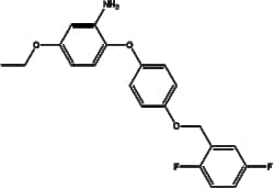Apexbio Technology LLC SEA0400 223104-29-8 10mM (in 1mL DMSO)