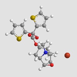 Apexbio Technology LLC Tiotropium Bromide 136310-93-5 10mM (in 1mL DMSO)