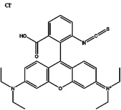 Apexbio Technology LLC&nbsp;Rhodamine B isothiocyanate 36877-69-7 50mg