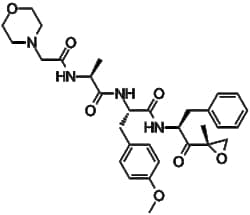 Apexbio Technology LLC&nbsp;ONX-0914 (PR-957) 960374-59-8 10mM (in 1mL DMSO)