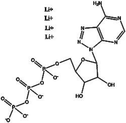 Apexbio Technology LLC 8-Aza-ATP 50ul (100 mM)