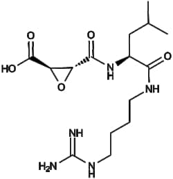 Apexbio Technology LLC E-64 66701-25-5 10mM (in 1mL DMSO)