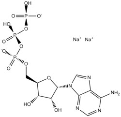 Apexbio Technology LLC ATP disodium salt 987-65-5 10mM (in 1mL H2O)