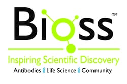 Bioss&nbsp;Legionella pneumophila