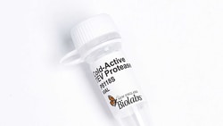 New England Biolabs, Inc.&nbsp;Cold-Active TEV Protease - 1000 units