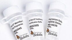 New England Biolabs, Inc.&nbsp;Bst-XT WarmStart&trade; DNA Polymerase - 8000 units