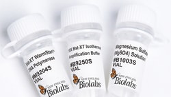 New England Biolabs, Inc. Bst-XT WarmStart DNA Polymerase - 1600 units,