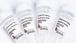 New England Biolabs, Inc.&nbsp;Bst-XT WarmStart&trade; DNA Polymerase (Glycerol-free) - 8000 units