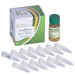 INTACT GENOMICS INC HB101 Chemically Competent Cells 6x100µl