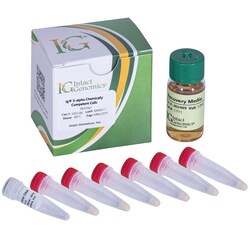 INTACT GENOMICS INC ig 5-alpha Chemically Competent Cells (High Efficiency) 12x50µl