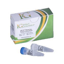 INTACT GENOMICS INC&nbsp;igScript&trade; Glycerol-free Reverse Transcriptase 10,000 units (200 u/µl)