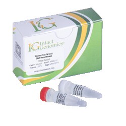 INTACT GENOMICS INC&nbsp;T4 UvsX DNA Recombinase, Glycerol Free 100µg