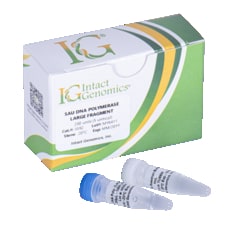 INTACT GENOMICS INC&nbsp;Sau DNA Polymerase Large Fragment 1000 Units (5 units/µl)